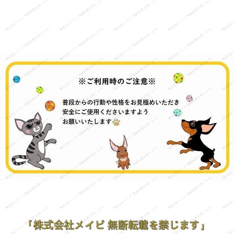 バックトゥザフューチャー シルクスクリーン ERIC TAN 限定100枚