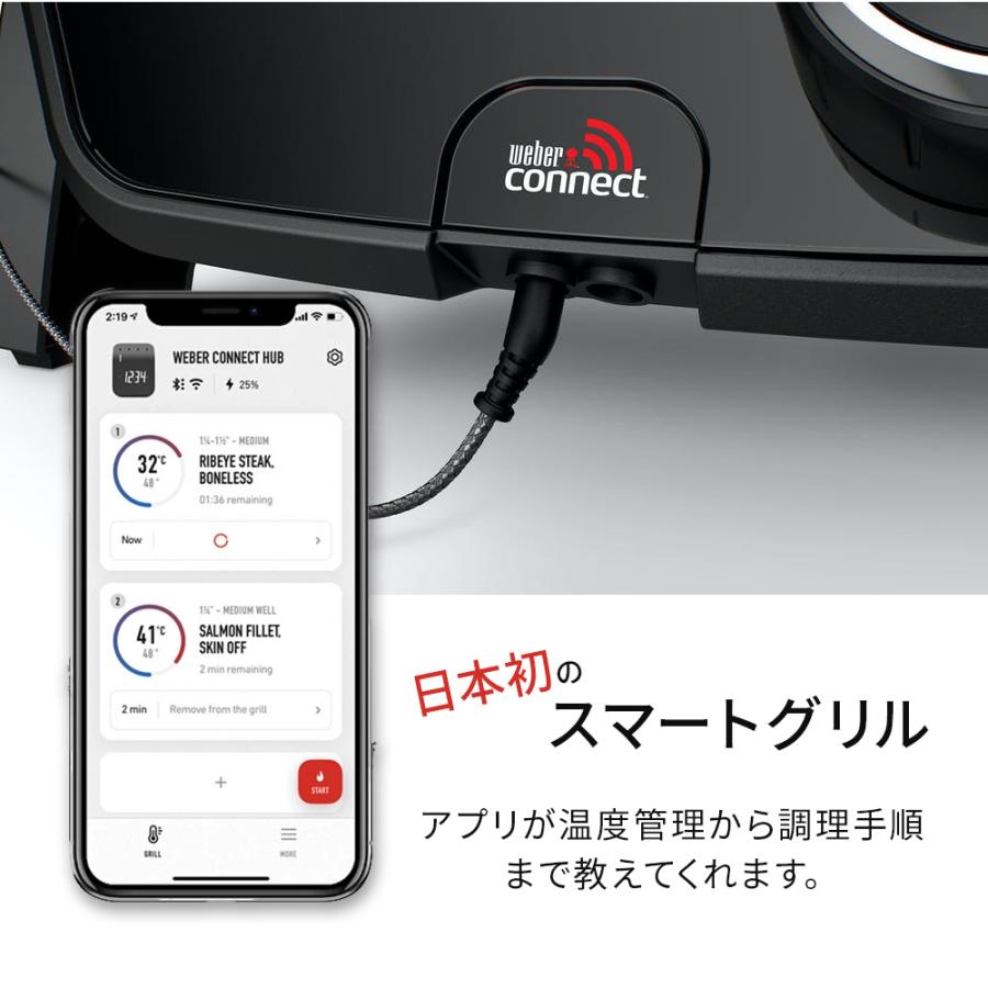WEBER（ウェーバー） Weber 81012013 Pulse 1000 電気グリル 日本正規