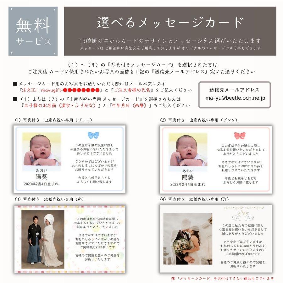 食器用洗剤 スポンジ マイクロファイバークロス 詰め合わせ フロッシュ キッチン洗剤ギフト 結婚 新築 出産 入学 快気 内祝い のし・包装・メッセージカード無料｜mayugift｜08