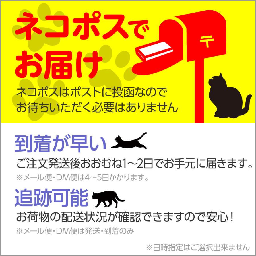 日本通信SIM スターターパック 申込有効期限：2026年12月末日 日本通信