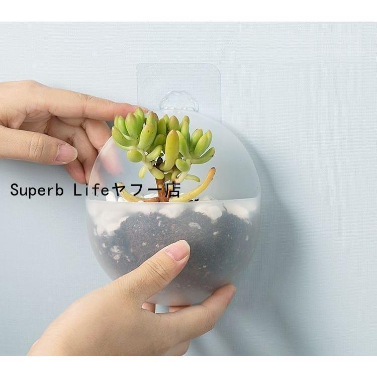 フラワーベース 壁掛け 花瓶 花器 フラワーポット インテリア雑貨 一輪挿し 半球型 クリア 透明 小型 シンプル かわいい おしゃれ コンパクト｜mayumicrystal｜07