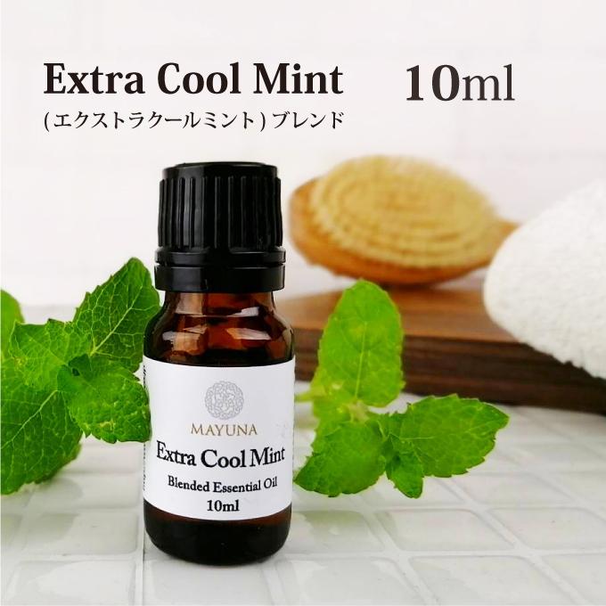 抗菌・冷感のペパーミント エッセンシャルオイル 1000ml エクストラ クール ミント ブレンド アロマオイル 冷感 夏 お風呂 精油