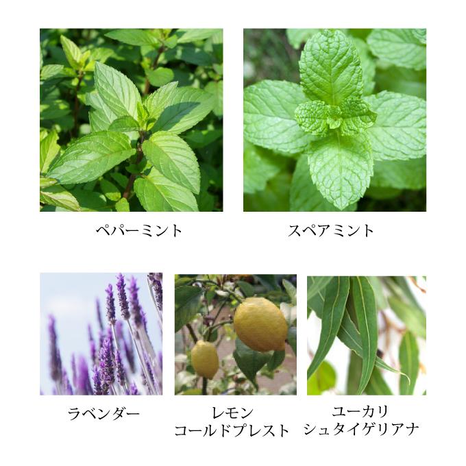 エクストラ クール ミント ブレンド アロマオイル 冷感 夏 お風呂 精油