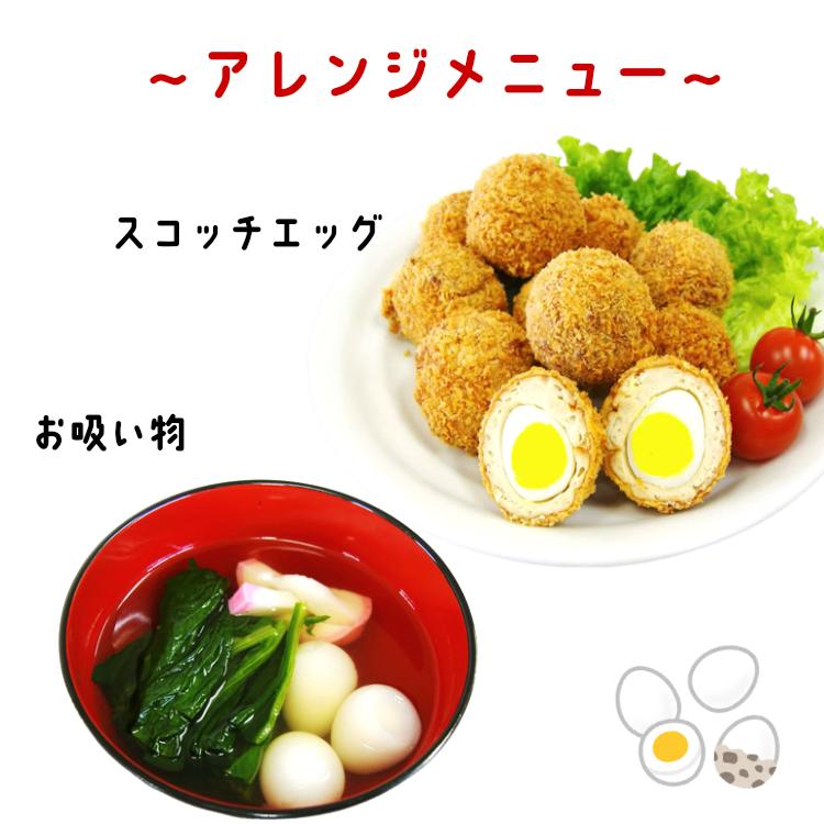 カネセイ食品 味付けうずら卵（10個入) 5袋セット うずらの卵 うずら卵