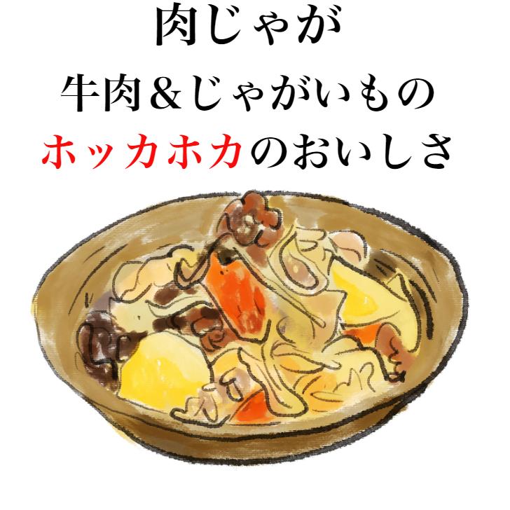 送料無料 肉じゃが 240ｇ 10袋セット レトルト 非常食 夜食 おかず 惣菜 お惣菜 煮物 レンジ 簡単 簡単調理 煮込み 酒のつまみ 温めるだけ｜mazassekorasse｜05