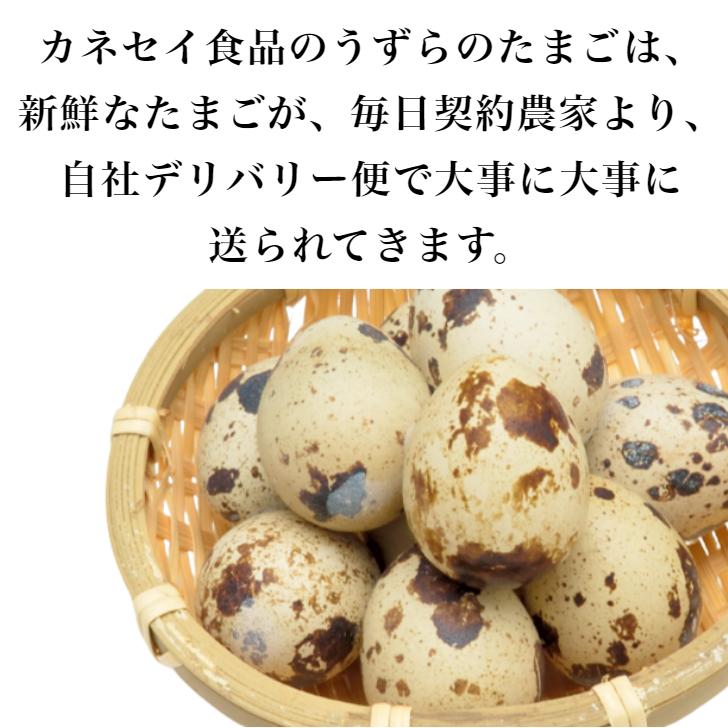カネセイ食品 うずらのたまご（8個入) 5袋セット うずらの卵 うずら卵
