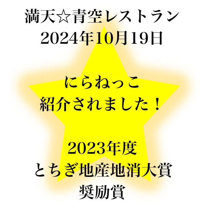 にらねっこ（130ｇ）4袋セット 満天☆青空レストラン 国産 栃木県産 にら漬け ニラ漬け にら醤油漬 にら ニラ  韮 漬物 ごはんのお供 おばねや 栃木県産にら | おばねや | 01