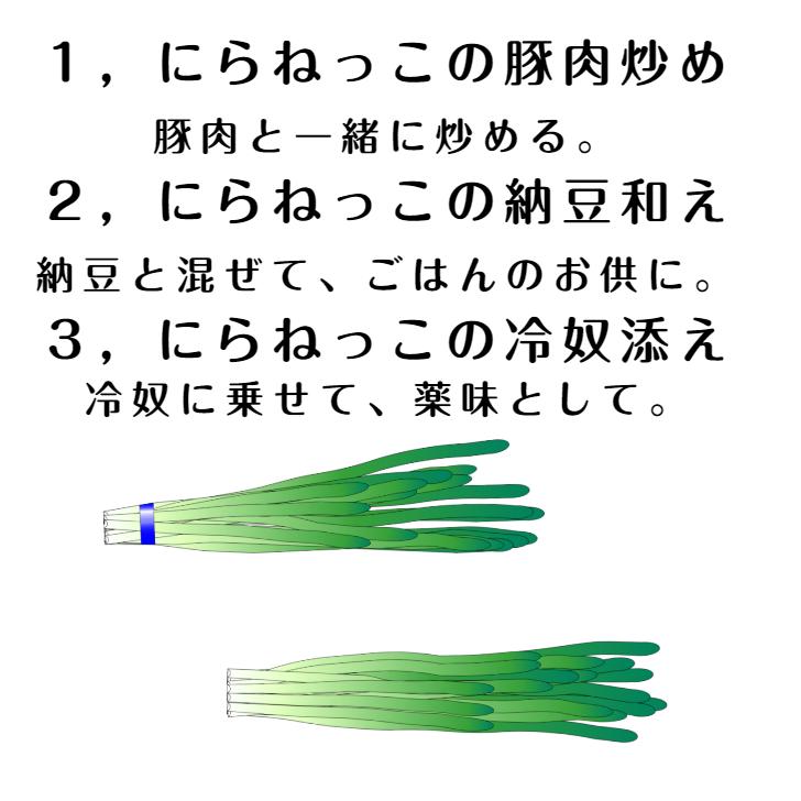 にらねっこ（130ｇ）4袋セット 満天☆青空レストラン 国産 栃木県産 にら漬け ニラ漬け にら醤油漬 にら ニラ  韮 漬物 ごはんのお供 おばねや 栃木県産にら | おばねや | 04