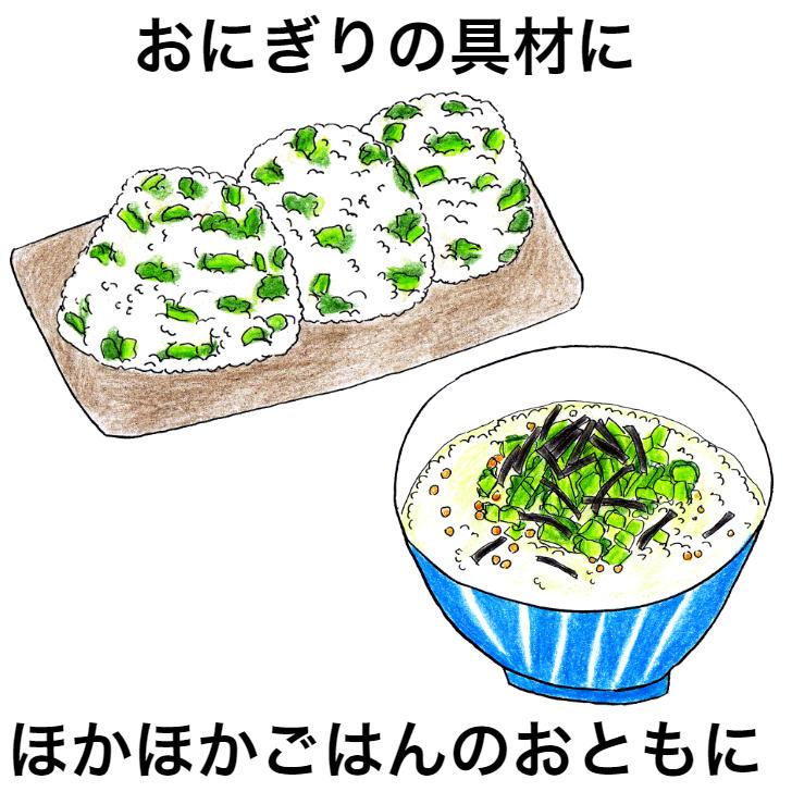 昔ながらの野沢菜きざみ漬 3袋セット 国産野沢菜 のざわな 漬け物 漬物