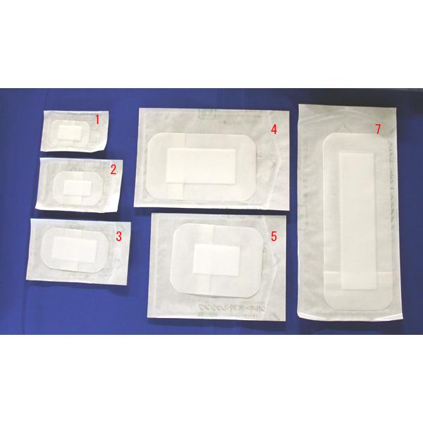 ALCARE（アルケア） シルキーポアドレッシング4号(粘着部10.0×13.0cm