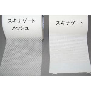 NICHIBAN（ニチバン） スキナゲートメッシュ SGM25 25mmX7m 12巻入