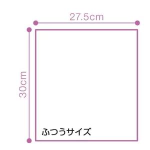 オオサキ　清拭タオルHP　ふつうサイズ　1本X30袋入 | オオサキメディカル | 01