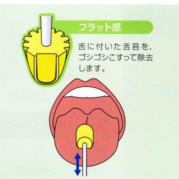 オオサキメディカル オオサキ 口腔ケア用 マウスポンジ プラ軸ふつう 1