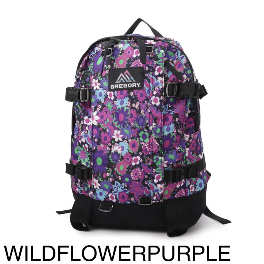 新品未使用　GREGORY グレゴリー 　バックパック　リュック　クラシック GREGORY（グレゴリー） バックパック CLASSIC ALL DAY V2.1 リュック