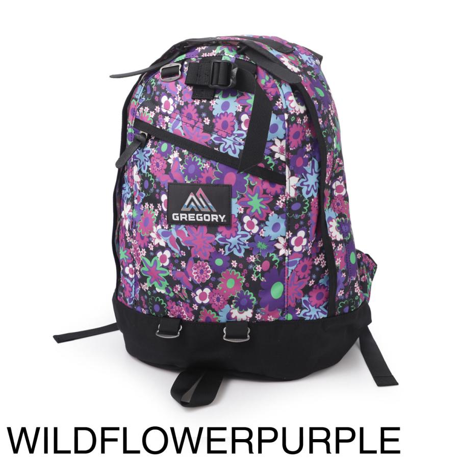 GREGORY グレゴリー バックパック FINE DAY V2 リュックサック メンズ