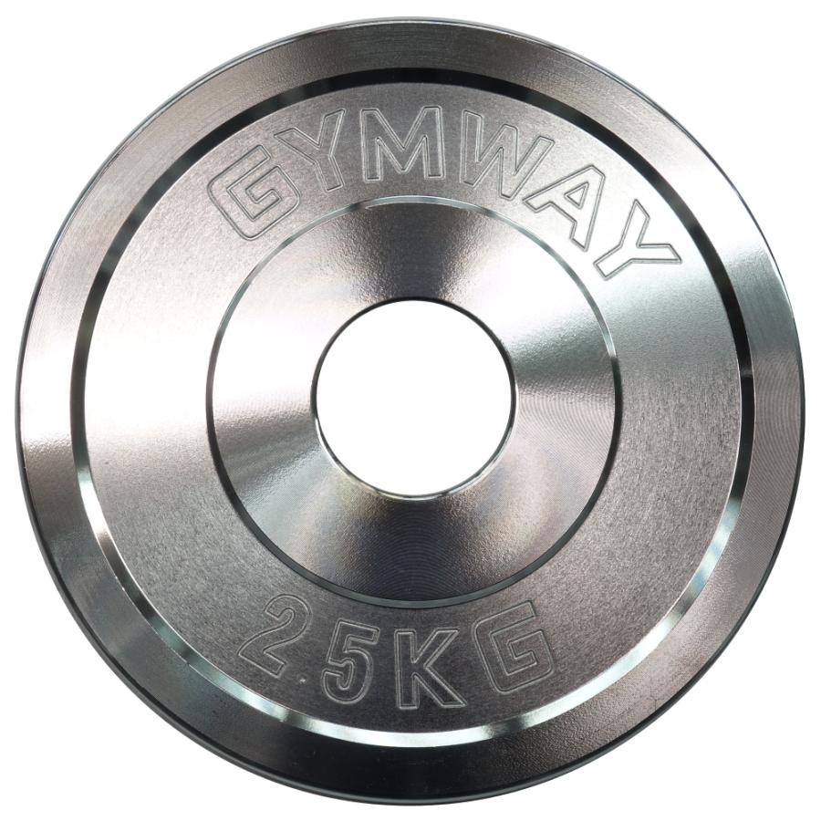GYMWAY（ジムウェイ）フラクショナルプレート2.5kg 2枚セット 