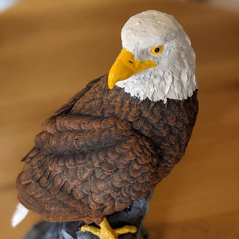 印象のデザイン 肥料 薬品 Revteds 鷹の置物ワシ 鳥よけ 害鳥対策 撃退 ベランダ鳩 カラス スズメ 害獣 猫 動物 ゴミ荒らし 見張り Www Threeriversofs Com