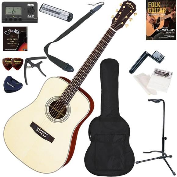 アコースティックギター 初心者 入門セット アコギ ARIA アリア AD-511/N お手軽13点セット