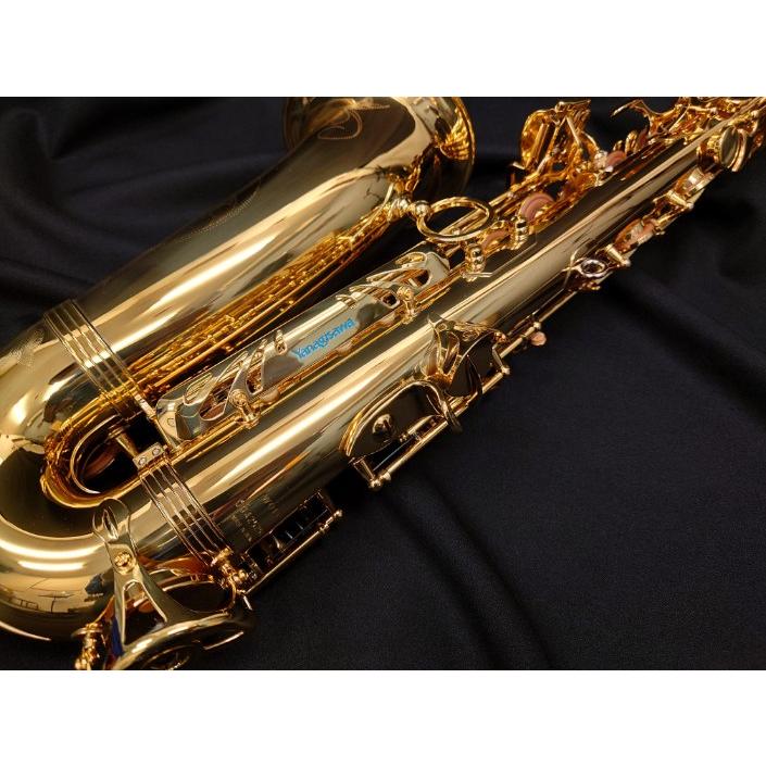 YANAGISAWA　アルトサックス　A-900　ALTO 専用ハードケース付き　マウスピース　付属品多数　ヤナギサワ　専門メーカー　有名ブランド YANAGISAWA アルトサックス A-900 ALTO 専用ハードケース付き マウス