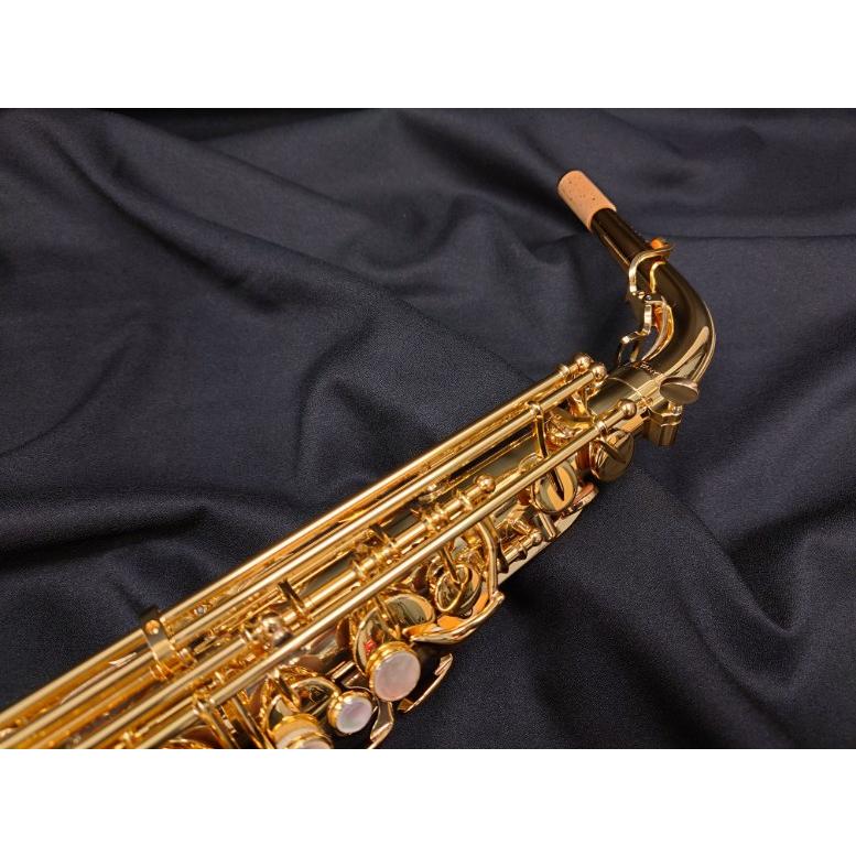 YANAGISAWA ヤナギサワ アルトサックス A-WO10 : 伊藤楽器船橋店