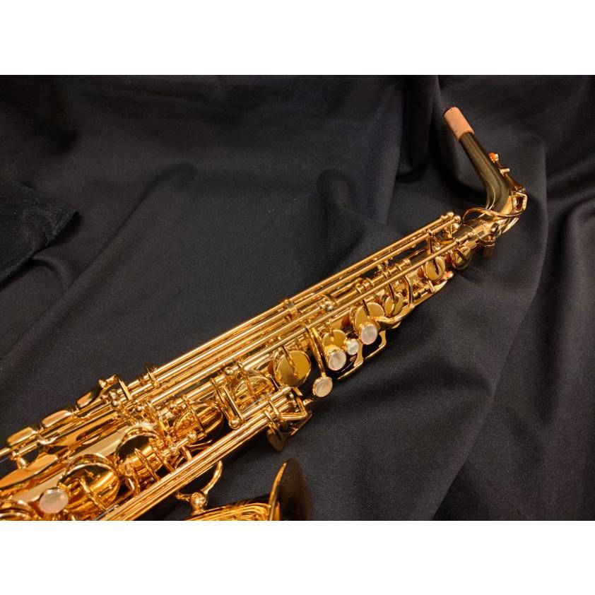 YANAGISAWA ヤナギサワ アルトサックス A-WO1 : 伊藤楽器船橋店 - 通販 