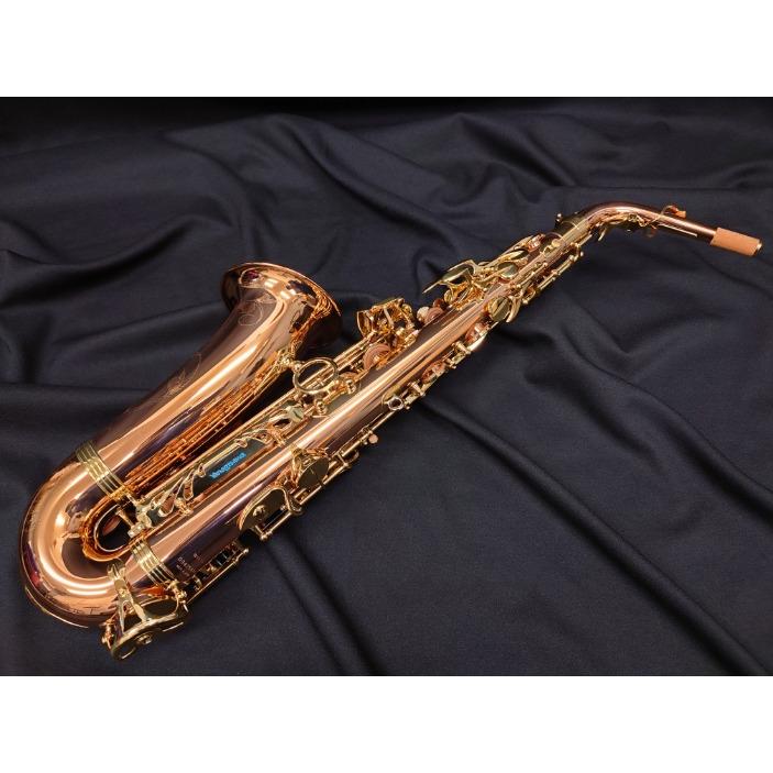 YANAGISAWA ヤナギサワ アルトサックス A-WO20 : 伊藤楽器船橋店