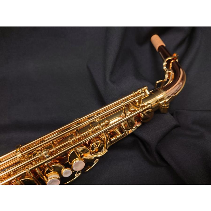 YANAGISAWA ヤナギサワ アルトサックス A-WO20 : 伊藤楽器船橋店