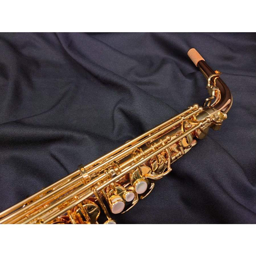 YANAGISAWA ヤナギサワ アルトサックス A-WO20 : 伊藤楽器船橋店