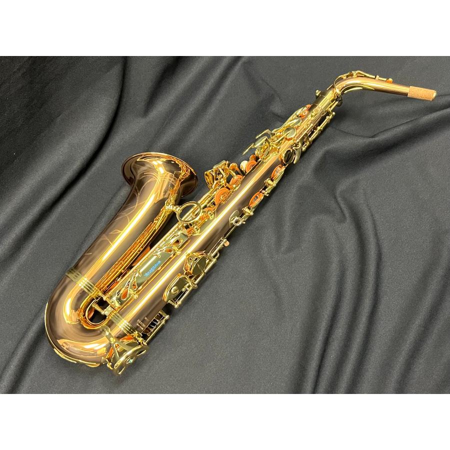 YANAGISAWA ヤナギサワ アルトサックス A-WO2 : 伊藤楽器船橋店
