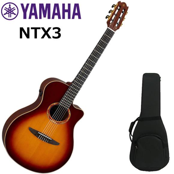 YAMAHA クラシックギター エレガット ヤマハ NTX3/BS : 伊藤楽器船橋店 