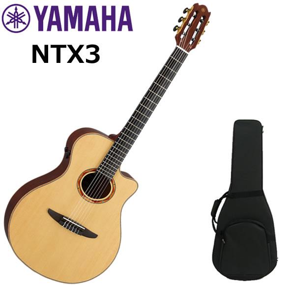 YAMAHA クラシックギター エレガット ヤマハ NTX3/NT : 伊藤楽器船橋店 