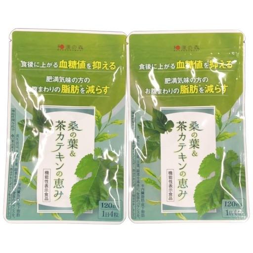 CA85 K 桑の葉＆茶カテキンの恵み 120粒 和漢の森 2袋セット(2ヶ月分)●賞味期限：2026/01〜 の商品画像
