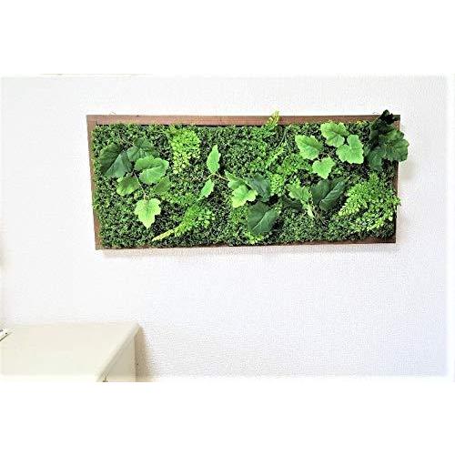 新品 在庫有 人工観葉植物 壁面緑化 グリーンボード グリーンパネル グリーン壁掛け 触媒加工済み 最低値 Zephyr Tg