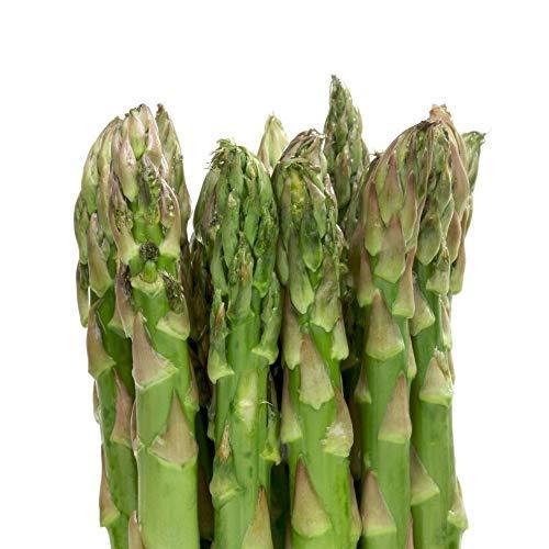 アスパラガス苗 緑アスパラガス 品種 ウェルカム 野菜苗 9cmポット実生苗 3個セット Ll級が次々とれる多収穫品種 7月 9月も植付け可能 S 2502 Mbストアー 通販 Yahoo ショッピング