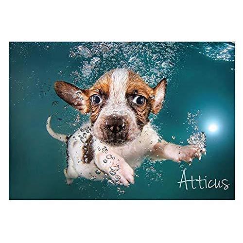 1000ピース ジグソーパズル 水中犬 4犬種 子犬 セス キャスティール S Mbストアー 通販 Yahoo ショッピング