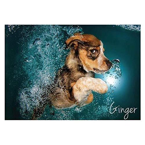 1000ピース ジグソーパズル 水中犬 4犬種 子犬 セス キャスティール S Mbストアー 通販 Yahoo ショッピング