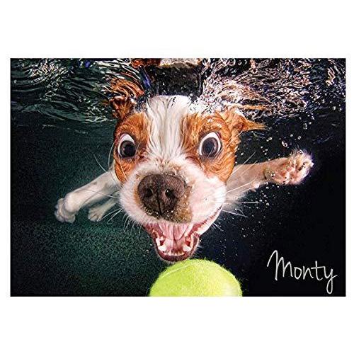 1000ピース ジグソーパズル 水中犬 4犬種 子犬 セス キャスティール S Mbストアー 通販 Yahoo ショッピング