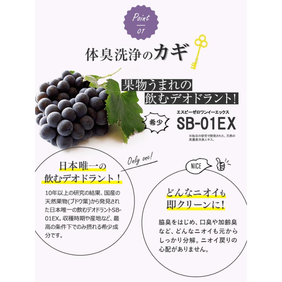 ワキガ対策 わきが 治療薬 Highness リバランスデオ(1本) REFUME