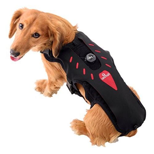 直販超高品質 アニフル Anifull わんコル アブソリュート S 犬用コルセット 値引セール Ssl Daikyogo Or Jp