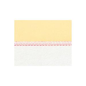 ロックミシン 縫工房 ベビーロック BL77WJ Wave Jet トリムビンプレゼント中 5年保証 送料無料 babylock 価格はお問い合わせください | 縫工房 | 07