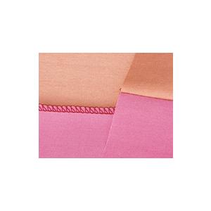 ロックミシン 糸取物語 ベビーロック BL22EXS 針とトリムビンプレゼント 1本針3本糸 5年保証 送料無料 babylock 価格はお問い合わせください | 糸取物語 | 07