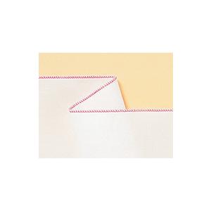 ロックミシン 衣縫人 BL57EXS ベビーロック 針とトリムビンプレゼント 2本針4本糸 5年保証 送料無料 babylock 価格はお問い合わせください | 衣縫人 | 10