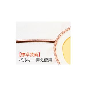 ロックミシン 衣縫人 BL57EXS ベビーロック 針とトリムビンプレゼント 2本針4本糸 5年保証 送料無料 babylock 価格はお問い合わせください | 衣縫人 | 18