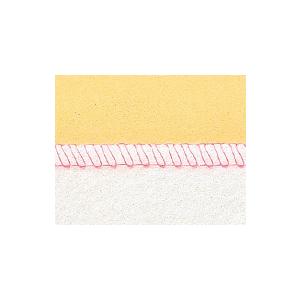 ロックミシン 衣縫人 BL57EXS ベビーロック 針とトリムビンプレゼント 2本針4本糸 5年保証 送料無料 babylock 価格はお問い合わせください | 衣縫人 | 09