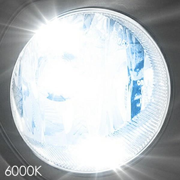 SPHERE LIGHT スフィア LED ツインカラー フォグライト 12V車用