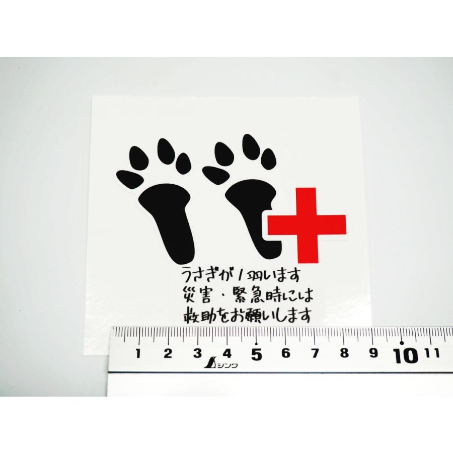 災害 緊急時 うさぎ レスキュー ステッカー 災害対策 地震 火事 天災 洪水 兎 救助 保護 Rescue 外 玄関 近所 防水 Decarusagikyuujo1 マニアックコレクション 通販 Yahoo ショッピング