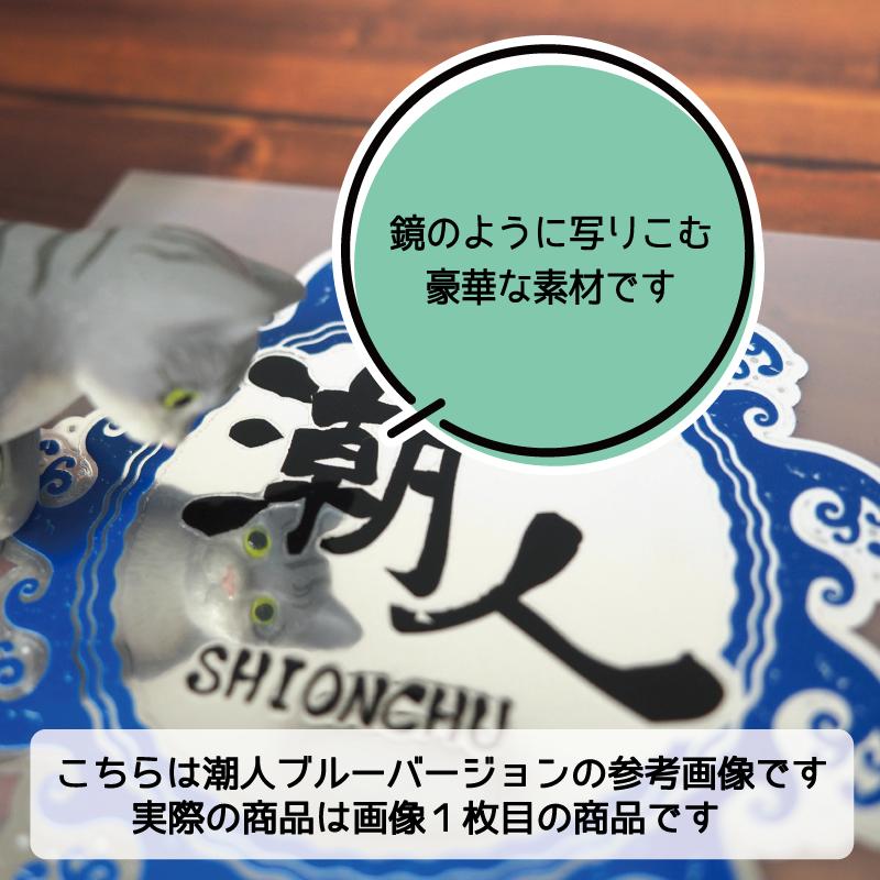 ミラー) 海人ステッカー サーフィン 釣 海 8cm ブルー : マニアック