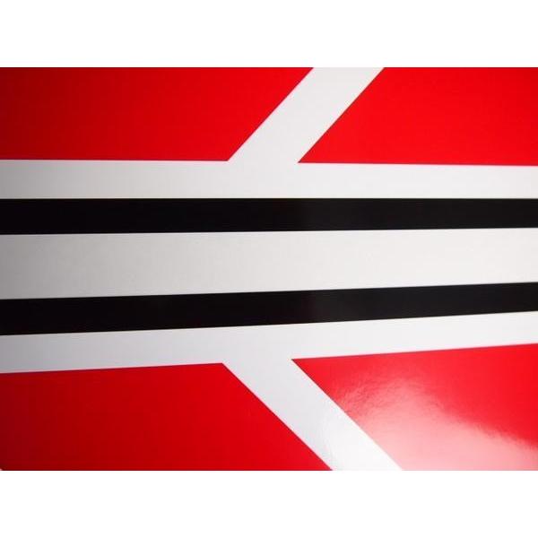 汎用_赤ストロボ_デカール_ステッカー_100x600mm_sr400_マジェ 左右