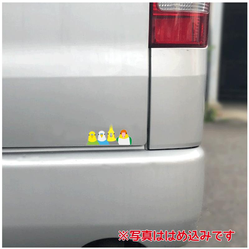 透明）ひょっこりインコ インコ大集合 ステッカー10cm 小鳥グッズ 雑貨 