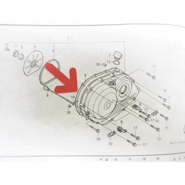 VT250FE VT250F2F VT250FG VT250F2H VTZ250 右クランクケースカバー